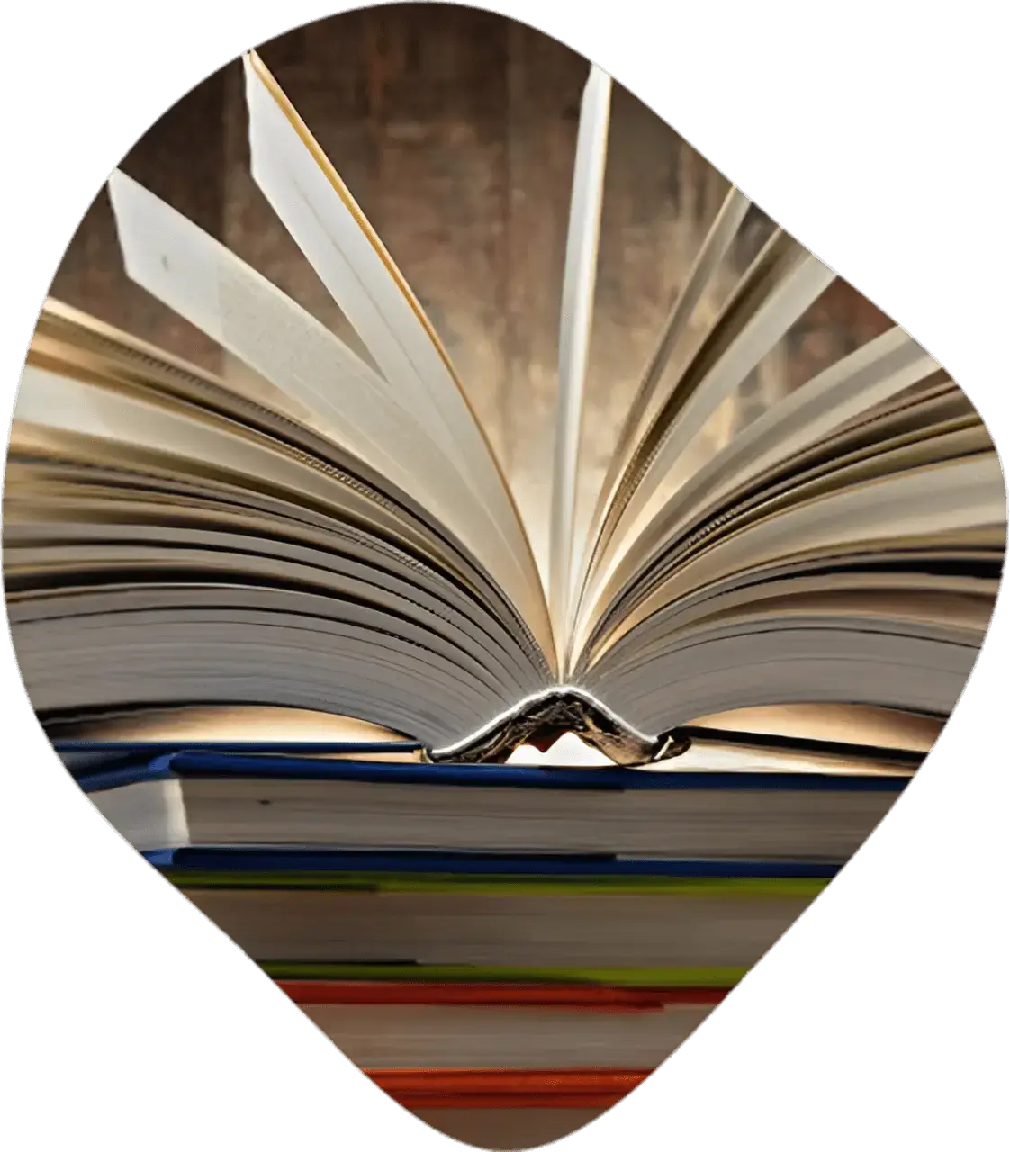 Our Entire Book Writing Team | Best Book Writers